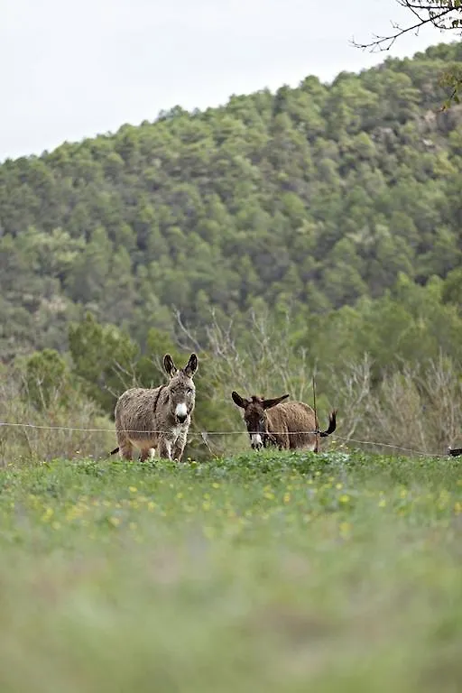 ホテルMasia Ca L'Anima La Baronia de Rialb